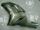 ABS Kit Carenatura Kawasaki ZX6R 2007-2008 - Argento ABS Kit Carenatura Kawasaki ZX6R 2007-2008 - Argento
