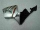 ABS Kits Carene Honda CBR 600 RR 2005-2006 - Argento
