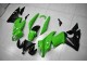 ABS Kits Carene Kawasaki EX650 2009-2011 - Verde Nero ABS Kits Carene Kawasaki EX650 2009-2011 - Verde Nero