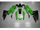 ABS Kits Carene Kawasaki EX650 2009-2011 - Verde Nero ABS Kits Carene Kawasaki EX650 2009-2011 - Verde Nero