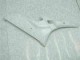 ABS Plastica & Carena Yamaha R6 2006-2007 - Non Verniciato ABS Plastica & Carena Yamaha R6 2006-2007 - Non Verniciato