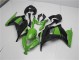 ABS Plastica & Carenatura Kawasaki EX300 2013-2016 - Verde Nero ABS Plastica & Carenatura Kawasaki EX300 2013-2016 - Verde Nero