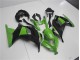 ABS Plastica & Carenatura Kawasaki EX300 2013-2016 - Verde Nero ABS Plastica & Carenatura Kawasaki EX300 2013-2016 - Verde Nero