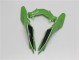 ABS Plastica & Carenatura Kawasaki EX300 2013-2016 - Verde Nero ABS Plastica & Carenatura Kawasaki EX300 2013-2016 - Verde Nero
