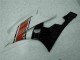 ABS Plastica Yamaha R6 2006-2007 - Rosso Bianco ABS Plastica Yamaha R6 2006-2007 - Rosso Bianco