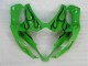 Carena Suzuki GSXR 1000 K5 2005-2006 - Verde Carena Suzuki GSXR 1000 K5 2005-2006 - Verde