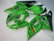 Carena Suzuki GSXR 1000 K5 2005-2006 - Verde Carena Suzuki GSXR 1000 K5 2005-2006 - Verde