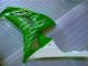 Carene Honda CBR 1000 RR 2006-2007 - Verde Carene Honda CBR 1000 RR 2006-2007 - Verde