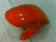 Carene Honda CBR 1000 RR 2008-2011 - Argento Arancia