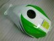 Carene Honda CBR 600 RR 2003-2004 - Verde Bianco Nero