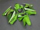 Carene Kawasaki EX250 2008-2012 - Verde Bianco Nero Ninja Carene Kawasaki EX250 2008-2012 - Verde Bianco Nero Ninja