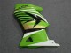 Carene Kawasaki EX250 2008-2012 - Verde Bianco Nero Ninja Carene Kawasaki EX250 2008-2012 - Verde Bianco Nero Ninja
