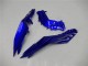 Carene Kawasaki EX300 2013-2016 - Blu Bianco Nero Carene Kawasaki EX300 2013-2016 - Blu Bianco Nero