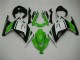 Carene Kawasaki EX300 2013-2016 - Verde Nero Argento Carene Kawasaki EX300 2013-2016 - Verde Nero Argento