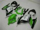 Carene Kawasaki EX300 2013-2016 - Verde Nero Argento Carene Kawasaki EX300 2013-2016 - Verde Nero Argento
