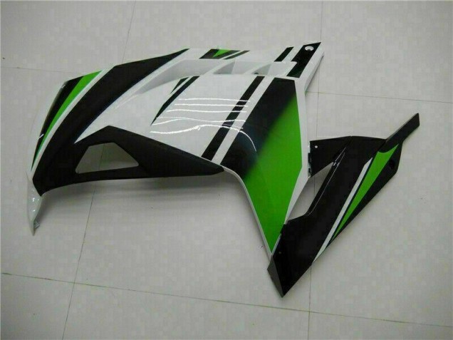 Carene Kawasaki EX300 2013-2016 - Verde Nero Argento Carene Kawasaki EX300 2013-2016 - Verde Nero Argento