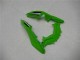 Carene Kawasaki EX300 2013-2016 - Verde Nero Argento Carene Kawasaki EX300 2013-2016 - Verde Nero Argento