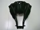 Carene Kawasaki ZX10R 2011-2015 - Lucido Nero Carene Kawasaki ZX10R 2011-2015 - Lucido Nero