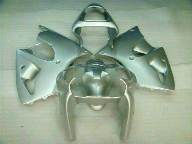 Carene Kawasaki ZX6R 2000-2002 - Argento Carene Kawasaki ZX6R 2000-2002 - Argento