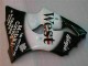 Carene Kawasaki ZX6R 2000-2002 - Nero West Ninja Carene Kawasaki ZX6R 2000-2002 - Nero West Ninja