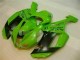 Carene Kawasaki ZX6R 2007-2008 - Verde Nero Dunlop Carene Kawasaki ZX6R 2007-2008 - Verde Nero Dunlop