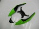 Carene Kawasaki ZX6R 2009-2012 - Nero Verde Rosso Carene Kawasaki ZX6R 2009-2012 - Nero Verde Rosso