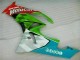 Carene Kawasaki ZX6R 2009-2012 - Rosso Verdecard Carene Kawasaki ZX6R 2009-2012 - Rosso Verdecard