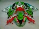 Carene Kawasaki ZX6R 2009-2012 - Rosso Verdecard Carene Kawasaki ZX6R 2009-2012 - Rosso Verdecard