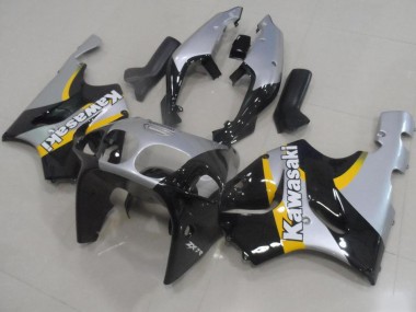 Carene Kawasaki ZX7R 1996-2003 - Argento & Nero