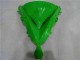 Carene & Plastica Kawasaki EX650 2006-2008 - Verde Nero Carene & Plastica Kawasaki EX650 2006-2008 - Verde Nero