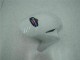 Carrozzeria & Carena Honda CBR 1000 RR 2004-2005 - Blu Bianco Carrozzeria & Carena Honda CBR 1000 RR 2004-2005 - Blu Bianco