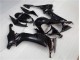 Carrozzeria & Carena Kawasaki ZX10R 2008-2010 - Lucido Nero Carrozzeria & Carena Kawasaki ZX10R 2008-2010 - Lucido Nero