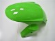 Carrozzeria & Carena Kawasaki ZX10R 2011-2015 - Verde Nero Carrozzeria & Carena Kawasaki ZX10R 2011-2015 - Verde Nero