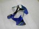 Kit Carena & Plastica Kawasaki ZX6R 2000-2002 - Blu Kit Carena & Plastica Kawasaki ZX6R 2000-2002 - Blu