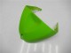 Kit Carena & Plastica Kawasaki ZX6R 2005-2006 - Verde Kit Carena & Plastica Kawasaki ZX6R 2005-2006 - Verde