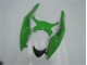 Kit Carenatura Completo ABS Kawasaki ZX6R 2009-2012 - Verde Nero Kit Carenatura Completo ABS Kawasaki ZX6R 2009-2012 - Verde Nero