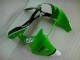 Kits Carenatura Iniezione Kawasaki ZX6R 2000-2002 - Verde Nero Kits Carenatura Iniezione Kawasaki ZX6R 2000-2002 - Verde Nero